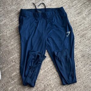 Gymshark Fallout Joggers rare blue color